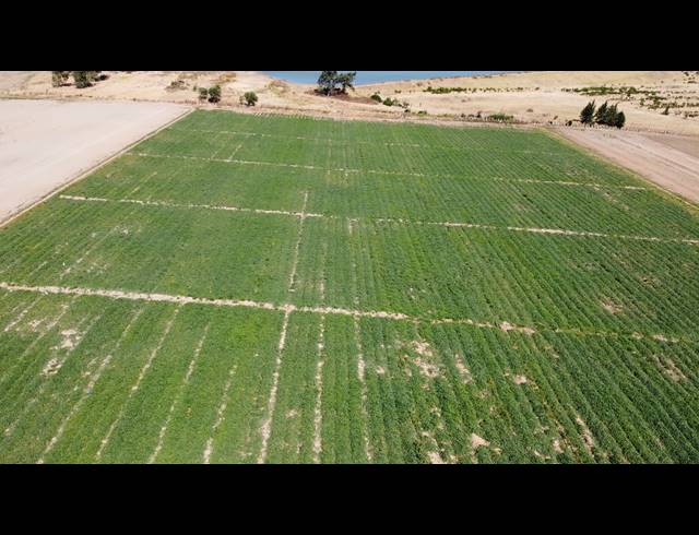 16.70HA FARM FOR SALE IN PAARL RURAL